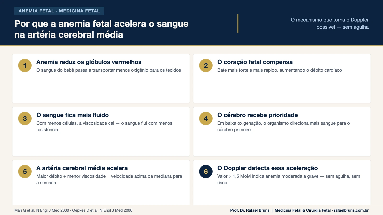 Diagrama em 6 etapas mostrando como a anemia fetal aumenta a velocidade do sangue na artéria cerebral média — mecanismo do exame Doppler