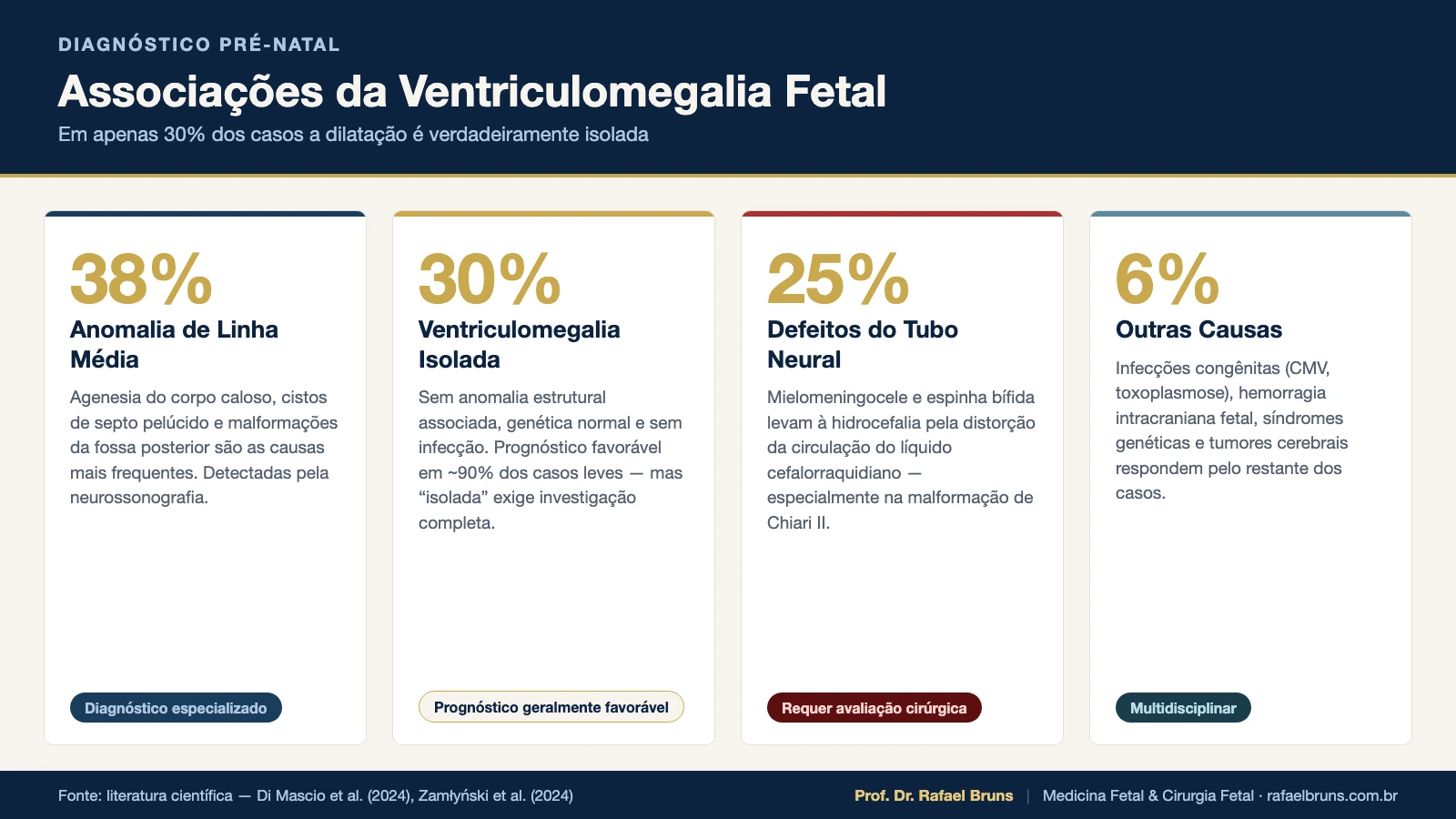 Infográfico: associações da ventriculomegalia fetal — 38% anomalia de linha média, 30% isolada, 25% defeitos do tubo neural, 6% outras causas