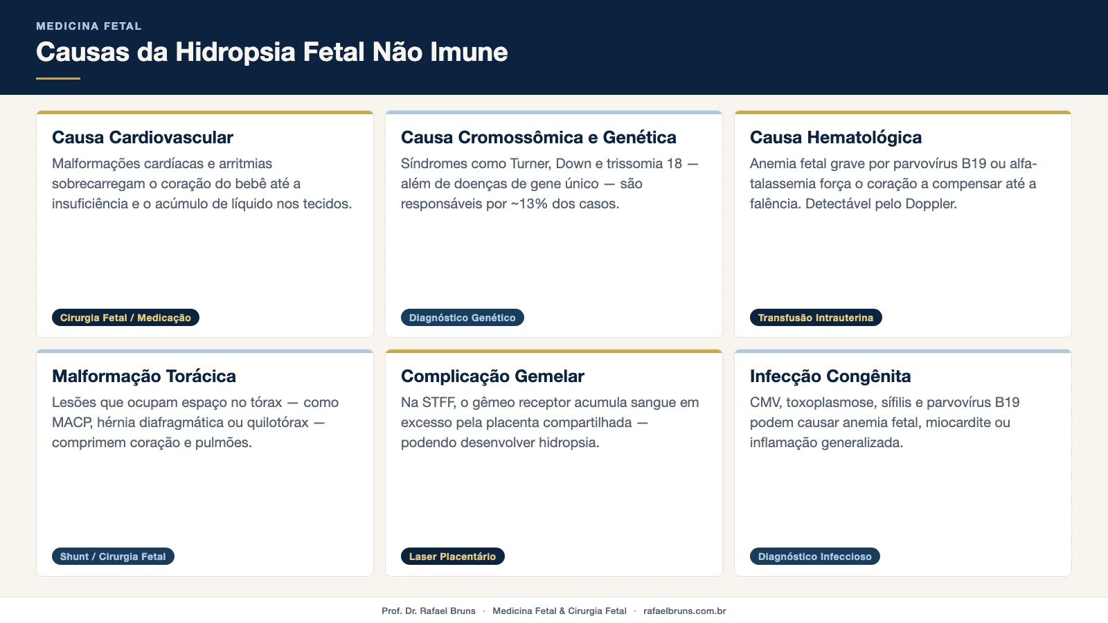 Infográfico com as seis principais causas de hidropsia fetal não imune: cardiovascular, cromossômica/genética, hematológica, torácica, gemelar e infecciosa