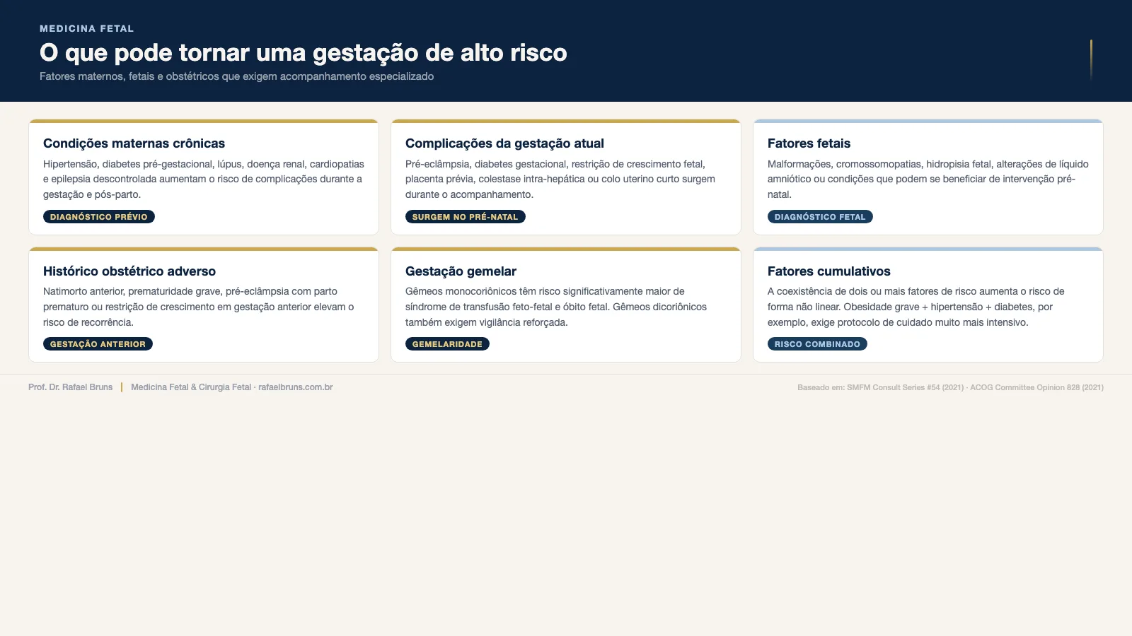 Infográfico com seis categorias de fatores que tornam uma gestação de alto risco, incluindo condições maternas crônicas, complicações obstétricas e fatores fetais