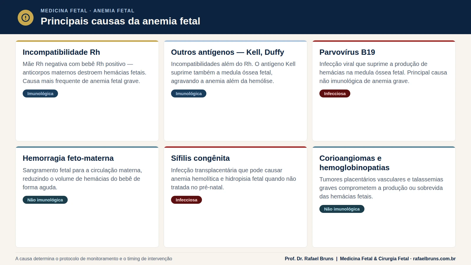 Infográfico mostrando as quatro principais causas de anemia fetal: incompatibilidade Rh, antígenos Kell e Duffy, parvovírus B19 e hemoglobinopatias