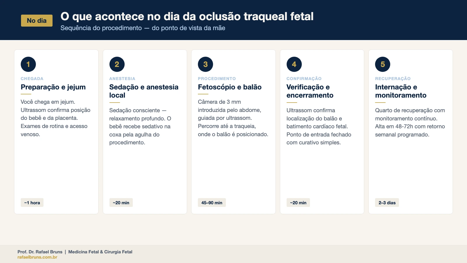 Infográfico com cinco etapas sequenciais do dia do FETO: preparação, anestesia, posicionamento do balão, confirmação por ultrassom e internação para recuperação