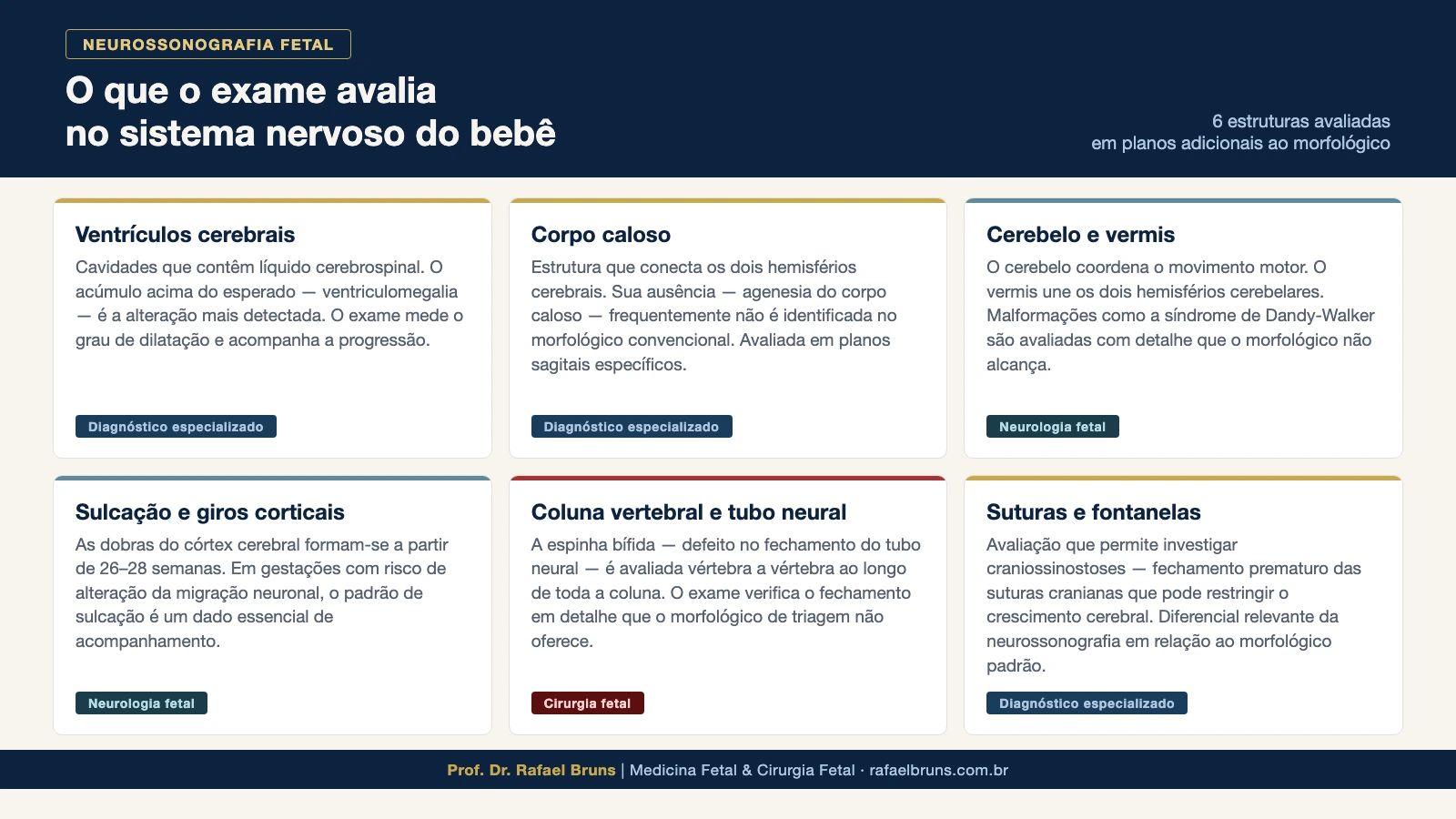 Infográfico com 6 estruturas avaliadas pela neurossonografia fetal: ventrículos, corpo caloso, cerebelo, sulcação cortical, coluna vertebral e suturas cranianas