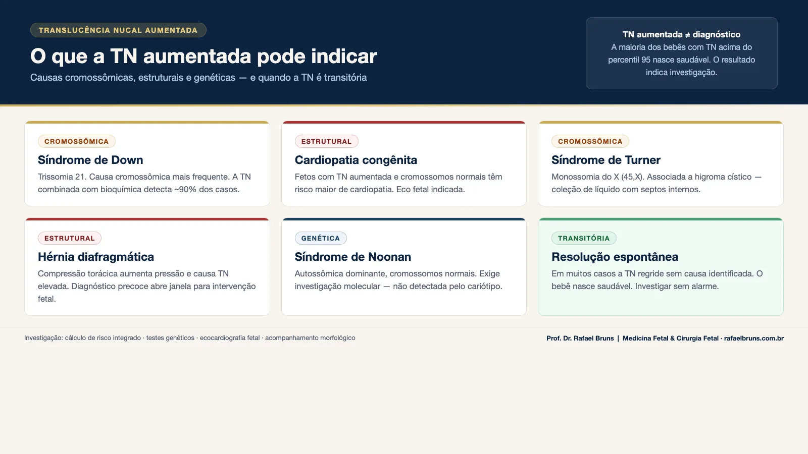 Infográfico com as causas de translucência nucal aumentada: síndrome de Down, cardiopatia congênita, síndrome de Turner, hérnia diafragmática congênita, síndrome de Noonan e resolução espontânea transitória