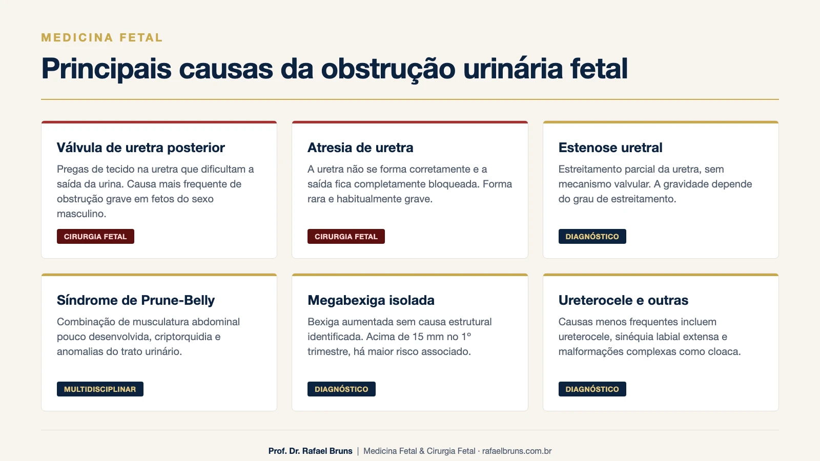 Infográfico das principais causas da obstrução urinária fetal: válvula de uretra posterior, atresia de uretra, estenose uretral, síndrome de Prune-Belly, megabexiga isolada e ureterocele