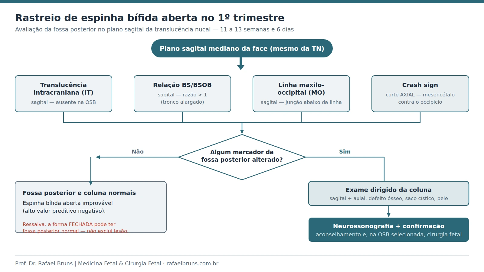 Fluxograma de rastreio de espinha bífida aberta no primeiro trimestre a partir do plano sagital da translucência nucal: translucência intracraniana, relação BS/BSOB e linha maxilo-occipital no plano sagital e crash sign no corte axial; se algum marcador estiver alterado, exame dirigido da coluna e neurossonografia