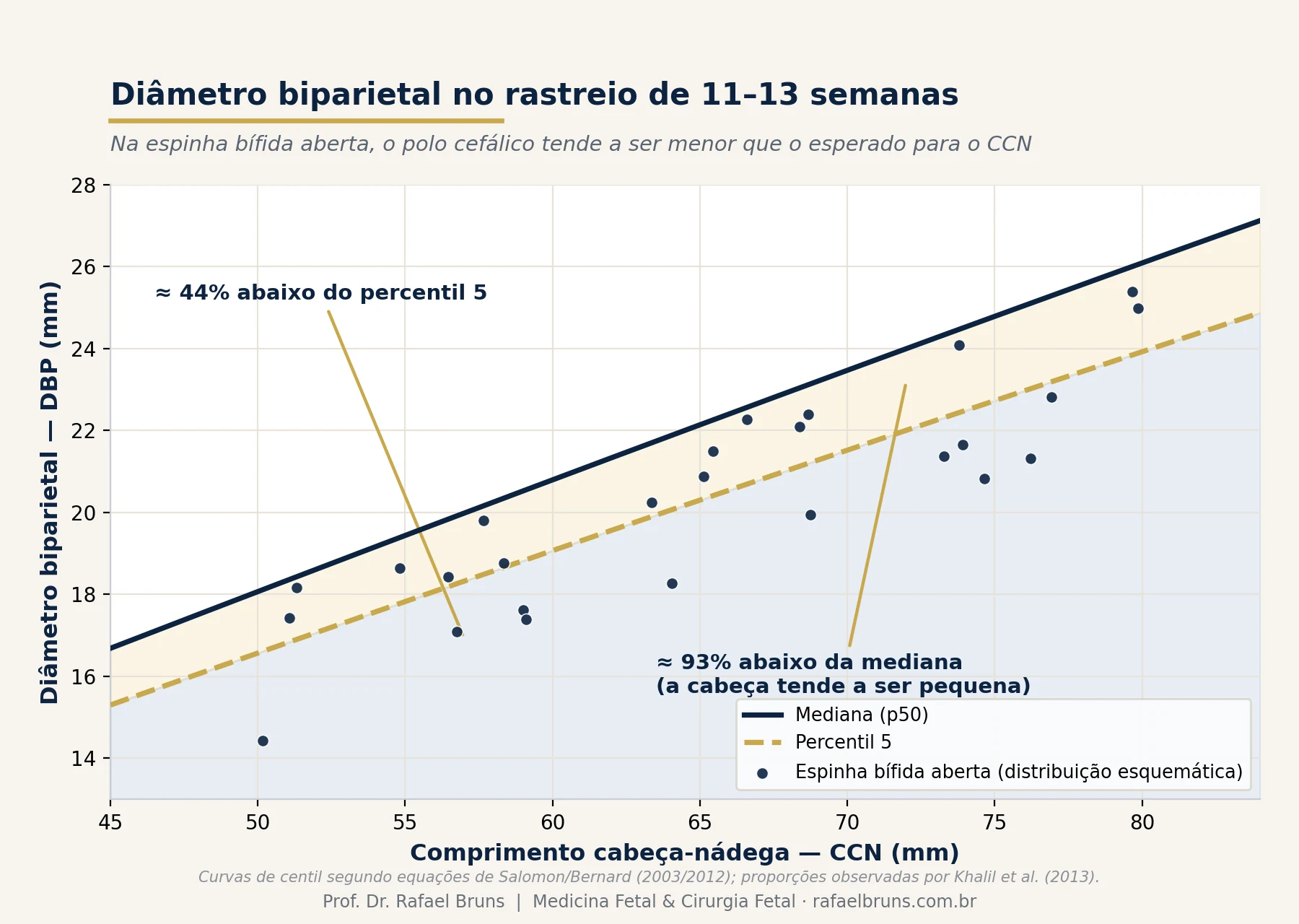 Gráfico do diâmetro biparietal em função do comprimento cabeça-nádega no rastreio de 11 a 13 semanas, mostrando que na espinha bífida aberta o DBP tende a ficar abaixo da mediana